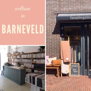 Lees meer over het artikel bed en breakfast in Barneveld en Veluwe